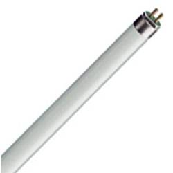 Osram ‎L 13 W/640