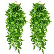 Ouddy Daily Efeu-Hängegirlande Vergleich