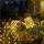 Ouila ‎M23555A-81W126B