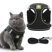 Oursunshine Katzengeschirr Leine Set Vergleich