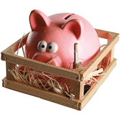 Out of the Blue Sparschwein