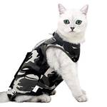 Katzenbody