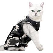 Ouuonno Katzenbody Vergleich