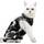 Ouuonno Katzenbody