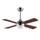 Ovlaim Deckenventilator