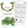 Owngrown Feldsalat-Samen
