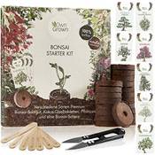 Owngrown Bonsai-Starter-Kit Vergleich
