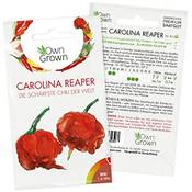 OwnGrown Carolina Reaper