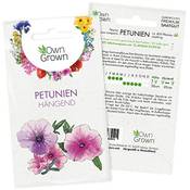 Owngrown Petunien-Samen