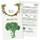 Owngrown Premium Brokkoli-Samen