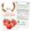 Owngrown Tomatensamen Mexikanische Honigtomate