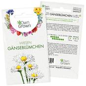 OwnGrown Wiesen-Gänseblümchen-Samen  Vergleich