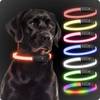 Leuchthalsband Hund