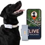 Paj Gps PET Finder 4G