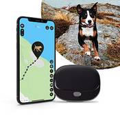 PAJ GPS Pet Finder 4G Vergleich