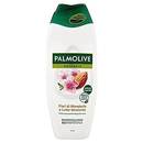 Palmolive Duschgel Mandel