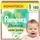 Pampers Baby Windeln Harmonie