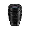 Panasonic H-X1025E