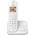Panasonic KX-TGC422GW
