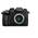 Panasonic LUMIX GH5 II