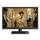Panasonic TX-24FSW504