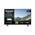 Panasonic TX-43MSW504