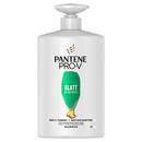 Pantene Pro-V Glatt & Seidig Shampoo