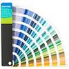 Pantone FHIP110A