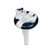 Paradies Pool 03299
