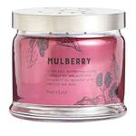 Partylite Duftwachsglas Brombeere