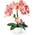 Pasch künstliche Orchidee