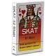 Paul Import GmbH Skat Vergleich