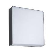 Paulmann 94840 LED Außenwandleuchte Azalena