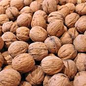 Pauls Mühle Walnüsse in Schale