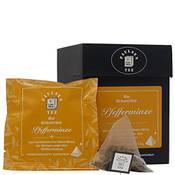 Paulsen Tee Bio Kräutertee Pfefferminze