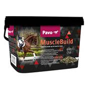 Pavo MuscleBuild