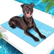 Pawtasy Kühlmatte Vergleich