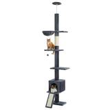 Pawz Road  ‎AY401-AMT0264DGY