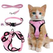 Peaktop Kitten Geschirr Vergleich