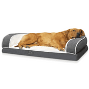 Pecute CS-PB-03 Vergleich