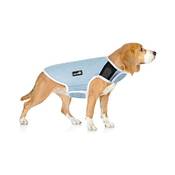 Pecute Hund Kühlweste Blau Vergleich