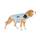 Pecute Hund Kühlweste Blau