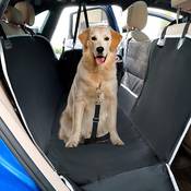 Pecute Hundedecke für Auto Vergleich