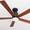 Deckenventilator Holz