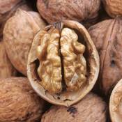 Pergamo Natural Flavor Walnuss Aus Frankreich Vergleich