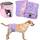 Petbank AEPEDD0103Z1ZELD8069ES