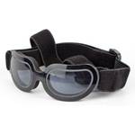 Petcute Sonnenbrille für Hunde