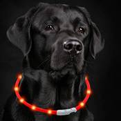 Petgold LED Halsband Vergleich