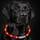 Petgold LED Halsband