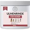 Petgold Ulmenrinde